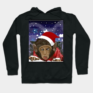 Christmas monkey Hoodie